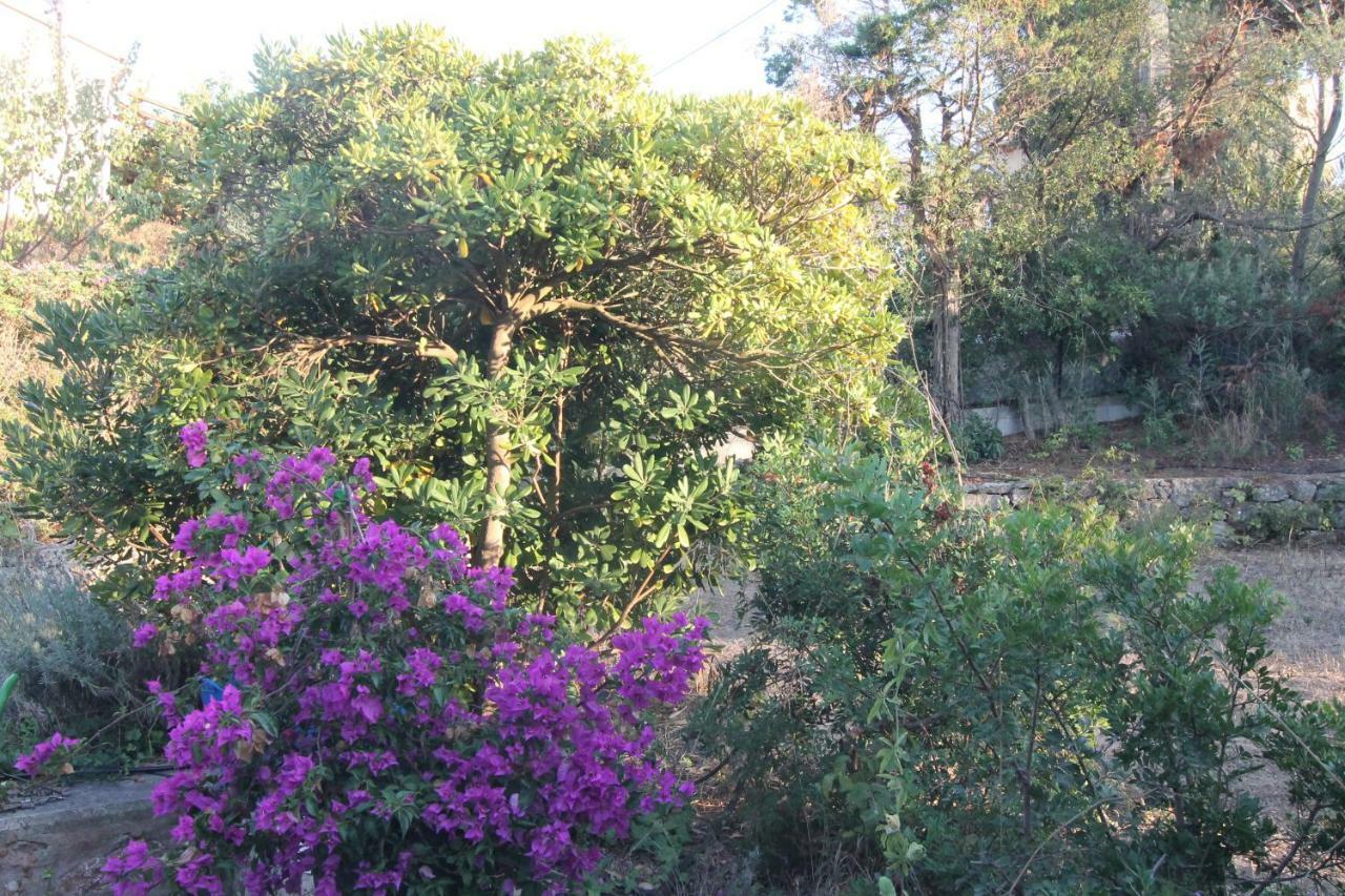 Presqu`ile De Giens * Hyères